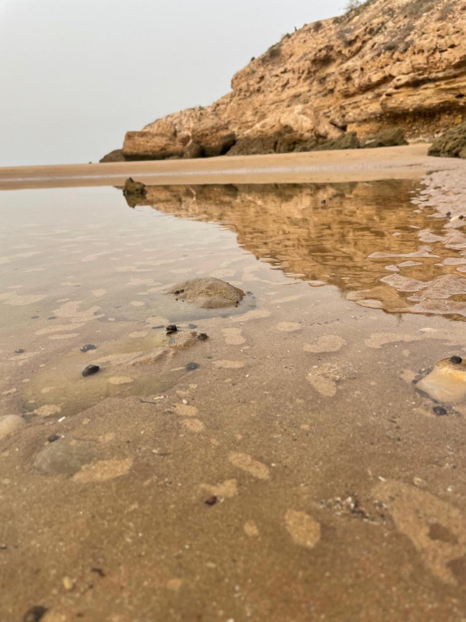 2 A Tamraght Taghazout Bay Surf Spot Aourir